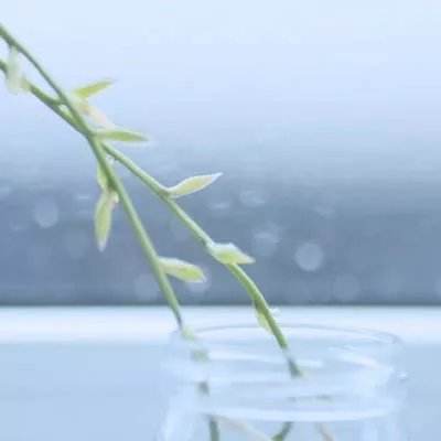 王者金币宝箱软件下载